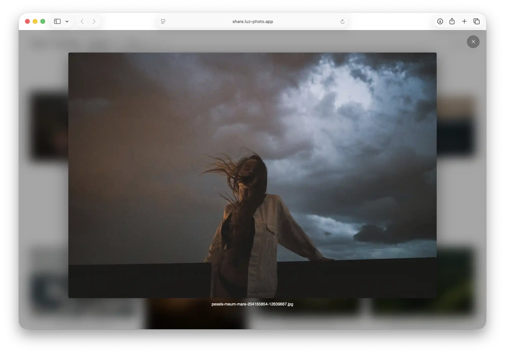 A Luz Photo gallery with a photograph opened full size.