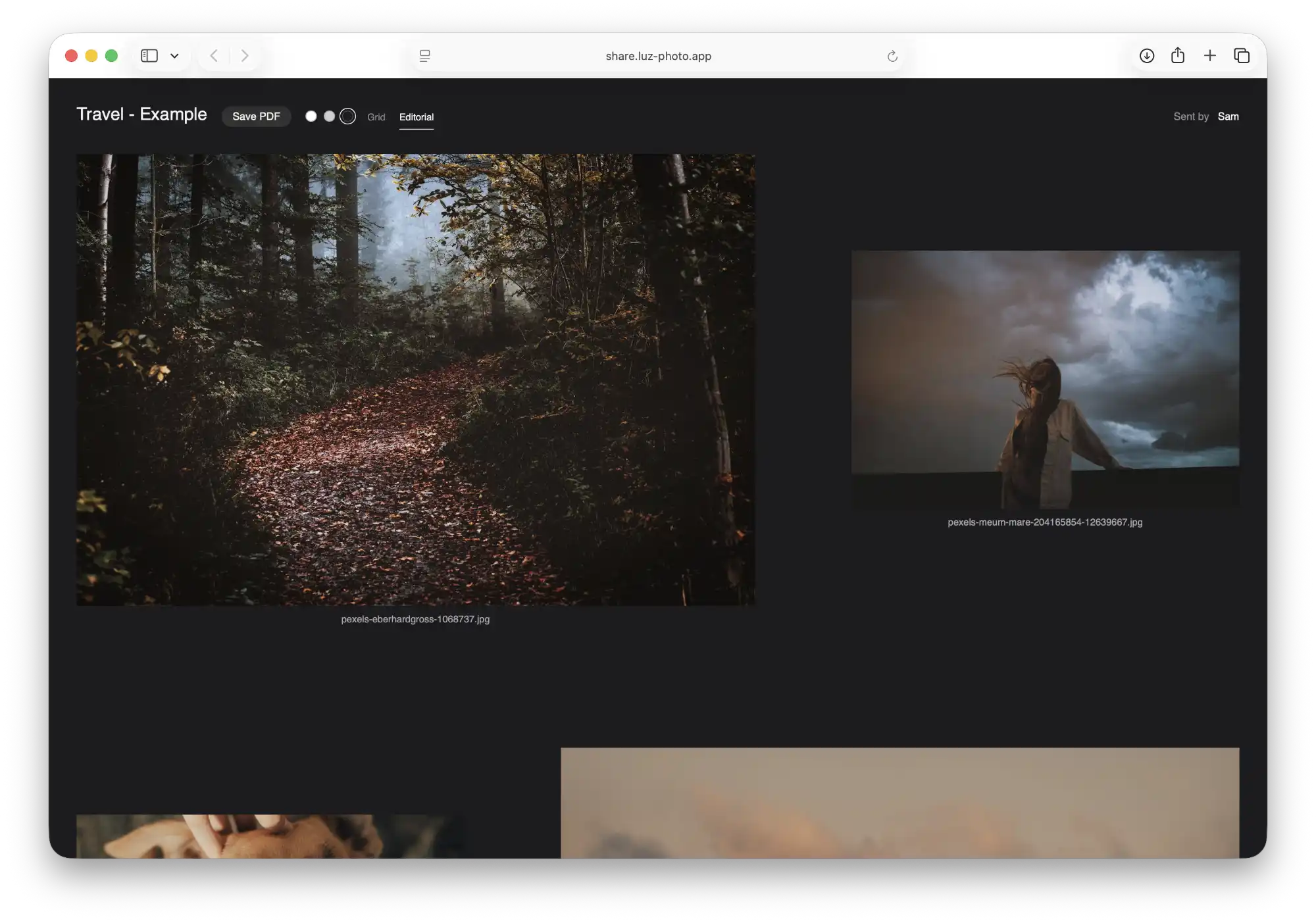 A customizable editorial layout for a Luz Photo web gallery.