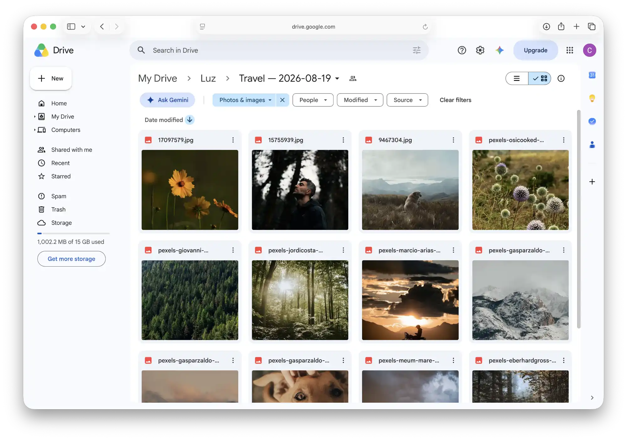 A Luz Photo collection stored in its own Google Drive folder.